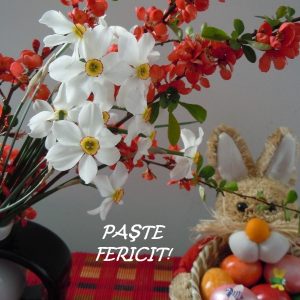 Vă dorim sărbători fericite!