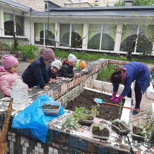 Acțiuni de salubrizare, igienizare, îngrijirea răzoarelor, plantarea plantelor multianuale