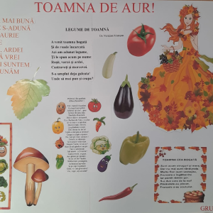 Toamna de aur!